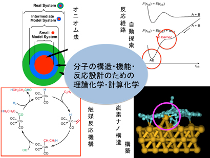 分子の構造・機能・反応設計のための理論化学・計算化学